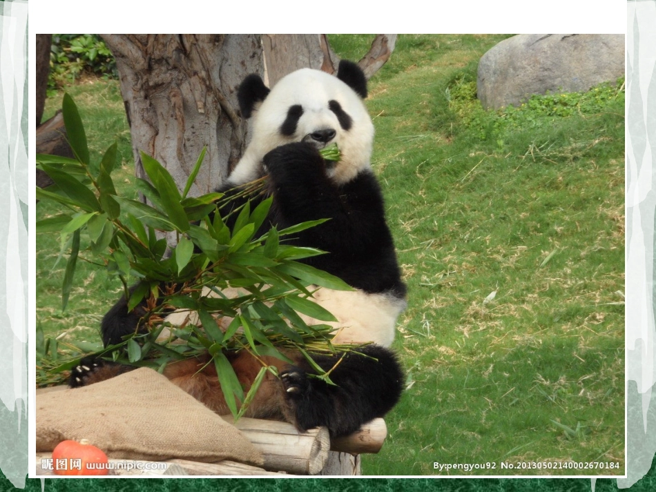 小班少儿绘画大熊猫_第2页