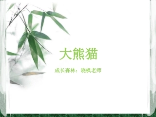 小班少儿绘画大熊猫