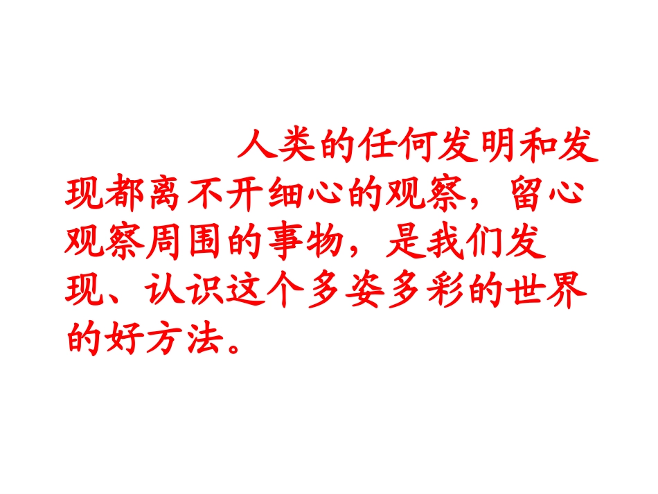 蜗牛观察日记_第1页