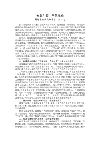 专业引领-示范推动