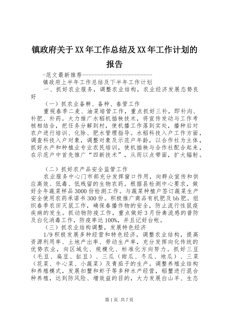 镇政府关于XX年工作总结及XX年工作计划的报告 _第1页