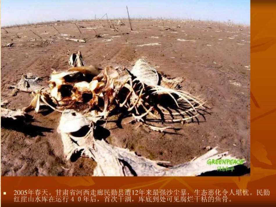 新环境保护法及环保管理培训课件_第3页