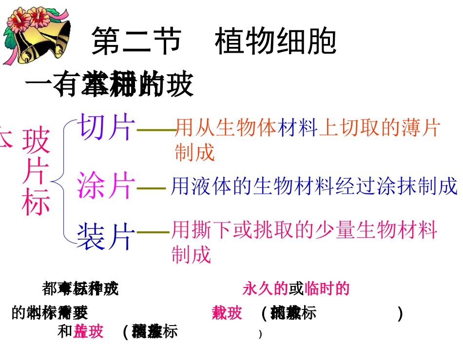 人教版七年级生物第二单元第一章第二节  植物细胞_第2页