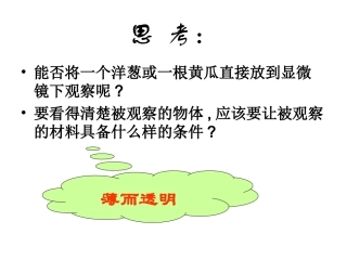 人教版七年级生物第二单元第一章第二节  植物细胞