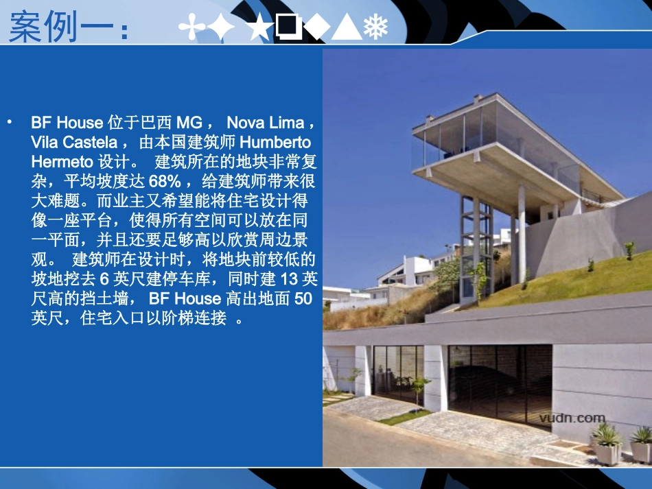 经典别墅案例分析_第2页