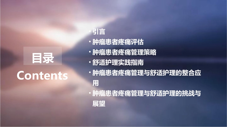 肿瘤患者疼痛管理与舒适护理实践指南课件 (2)_第2页