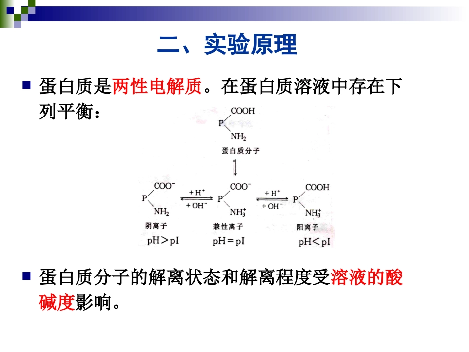 实验一、蛋白质的等电点测定和沉淀反应_第3页