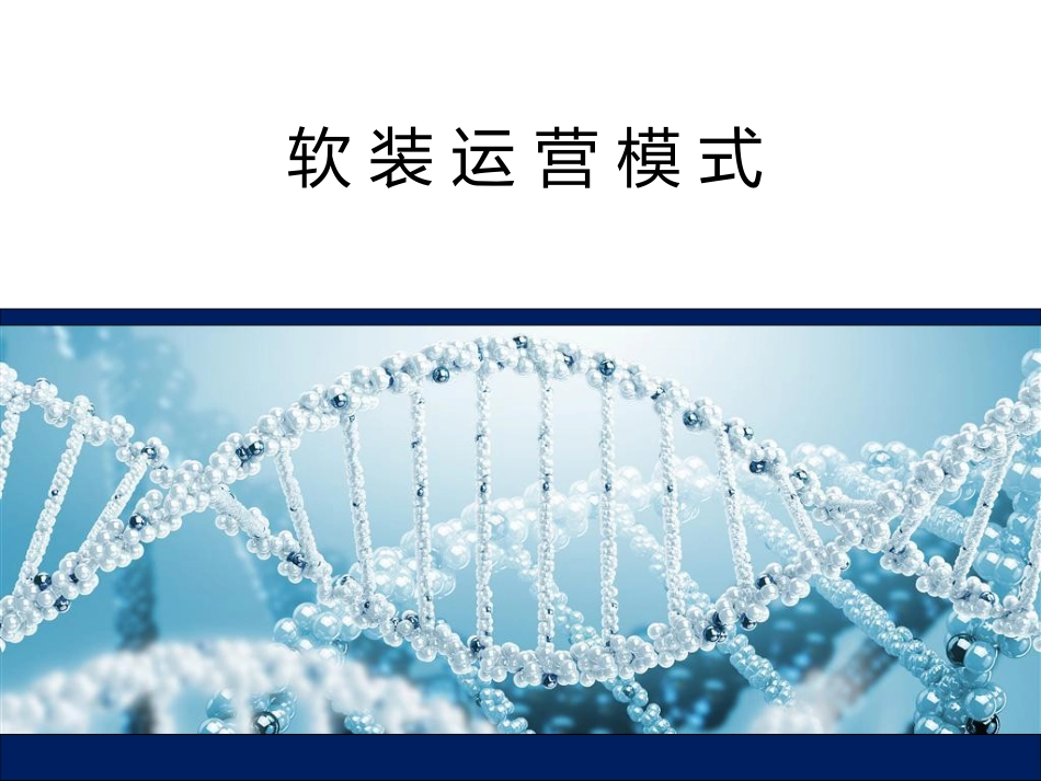 软装经营模式方案_第1页