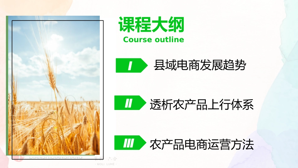 县域电商—农产品上行体系_第3页