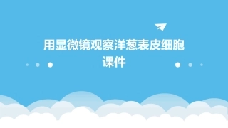 用显微镜观察洋葱表皮细胞课件