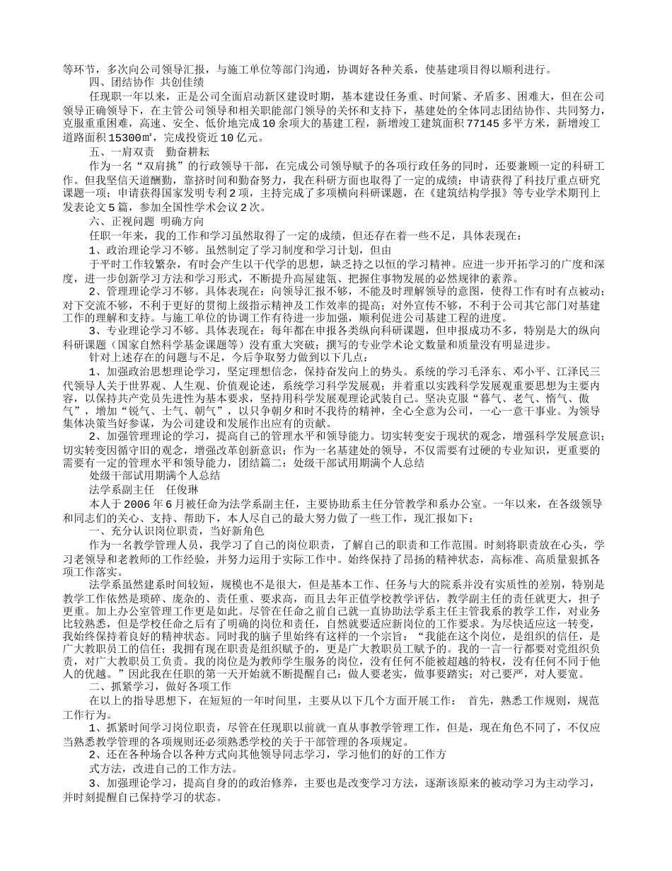 领导干部任职试用期满工作总结_第2页