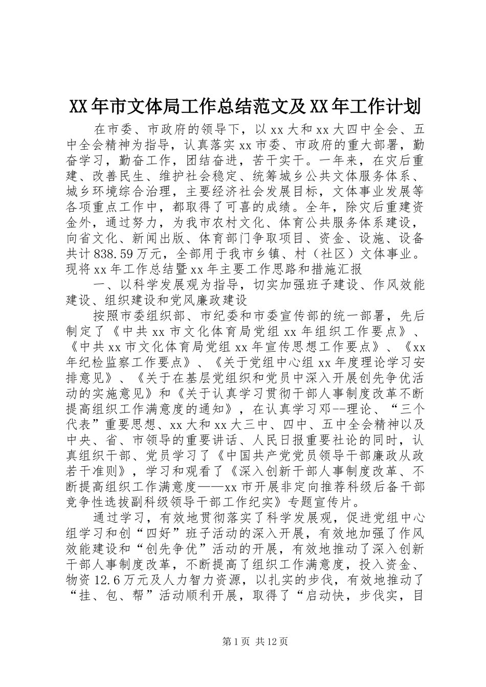XX年市文体局工作总结范文及XX年工作计划 _第1页