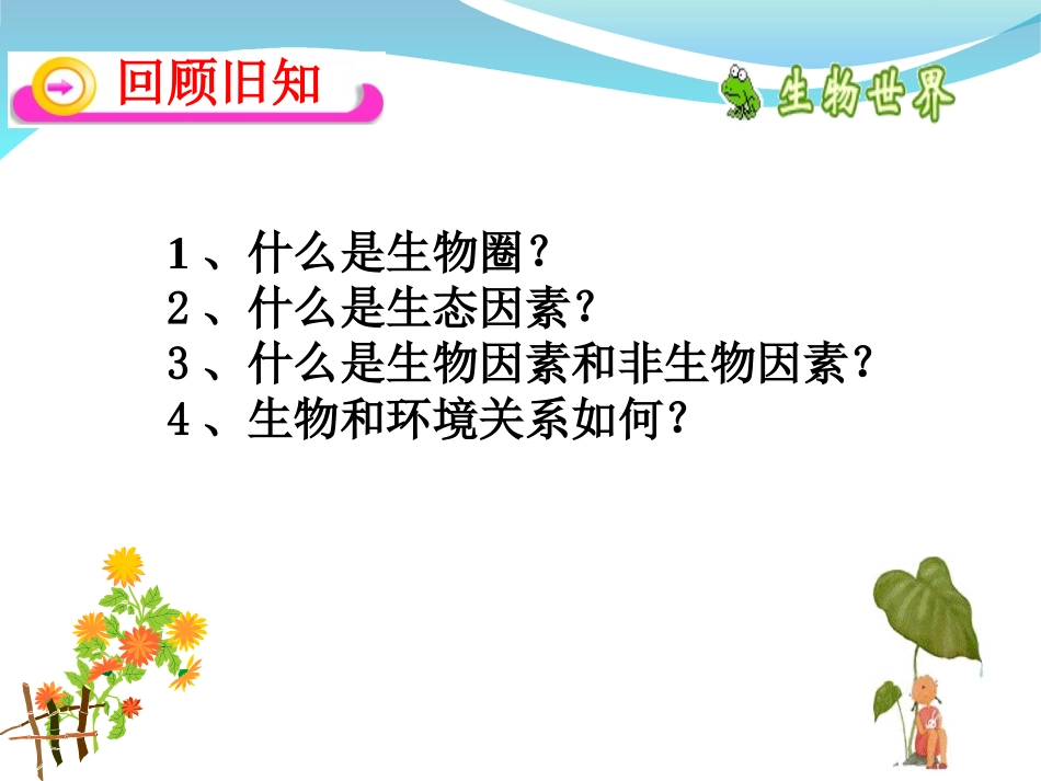 生物与环境组成生态系统ppt_第1页