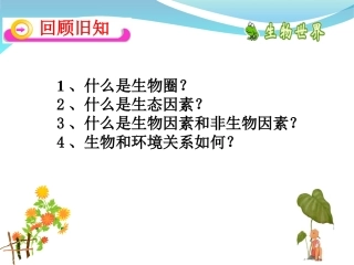 生物与环境组成生态系统ppt