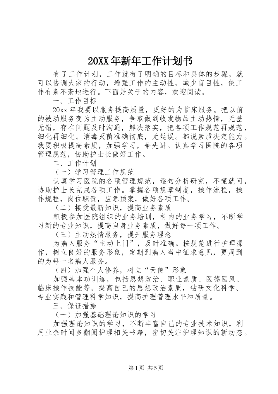 20XX年新年工作计划书_第1页
