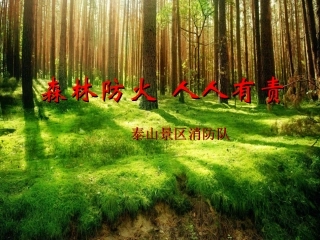 森林防火  人人有责