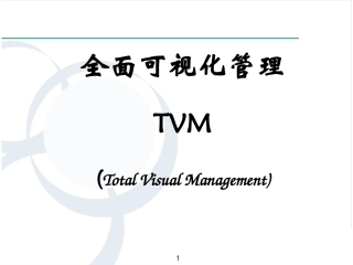 公司目视化管理手册