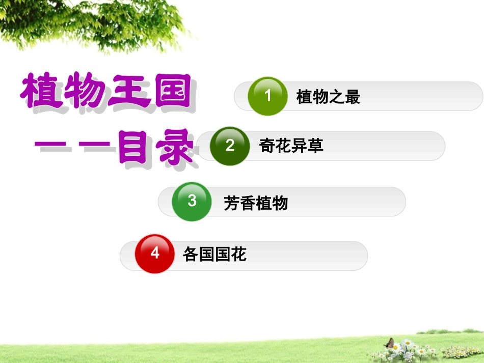 植物王国PPT_第3页