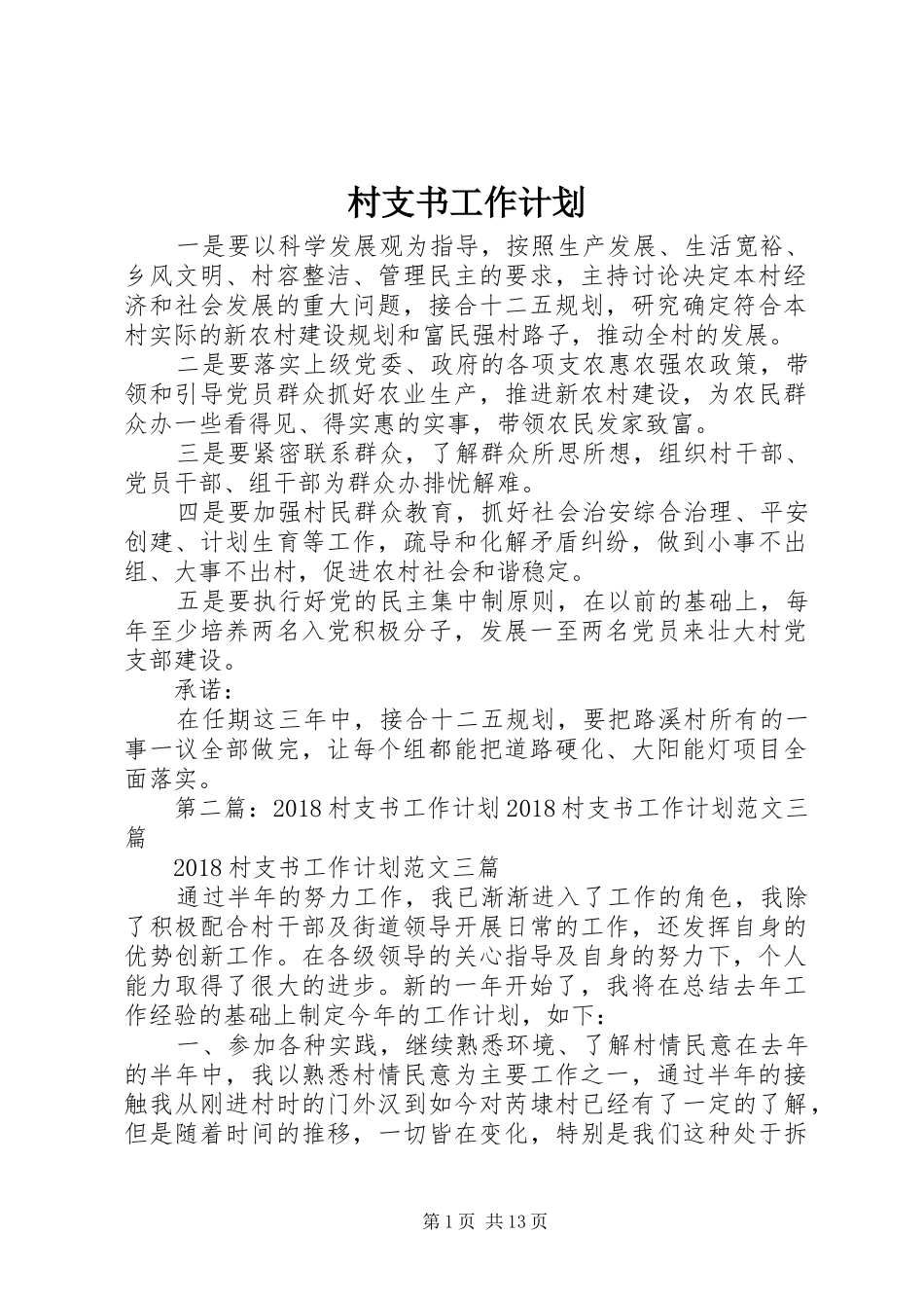 村支书工作计划 _第1页