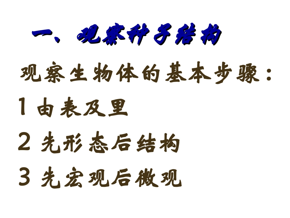 种子植物PPT_第3页