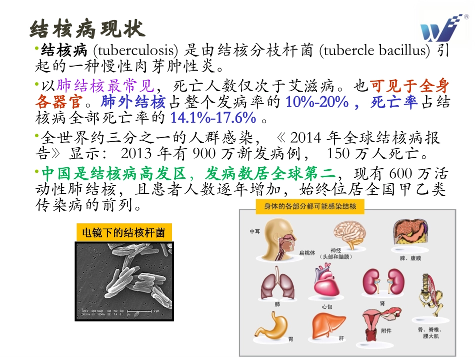 结核感染T细胞检测及意义_第3页