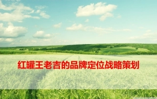 红罐王老吉的品牌定位战略策划