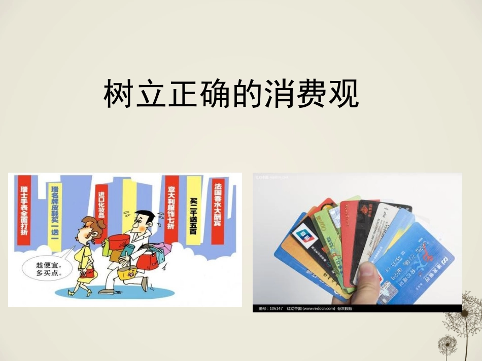 树立正确的消费观PPT_第3页