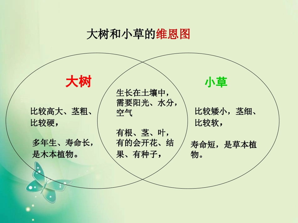教科版三年级上册科学第一单元观察水生植物_第3页
