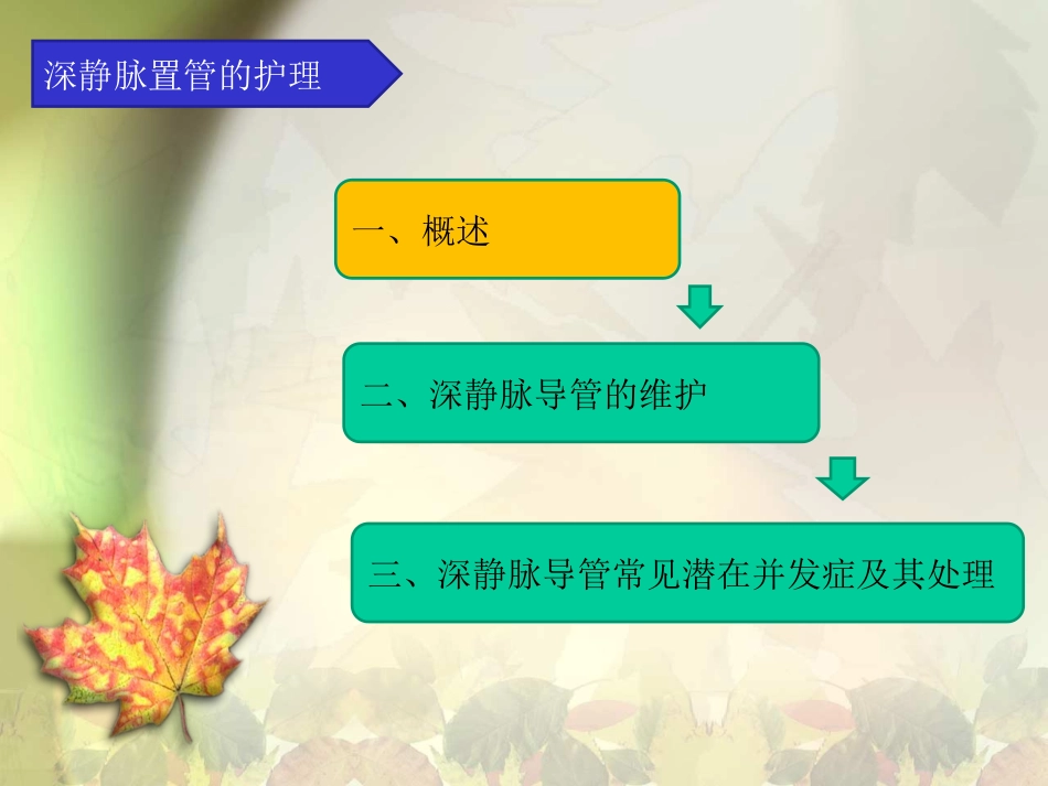 深静脉置管的护理_第2页