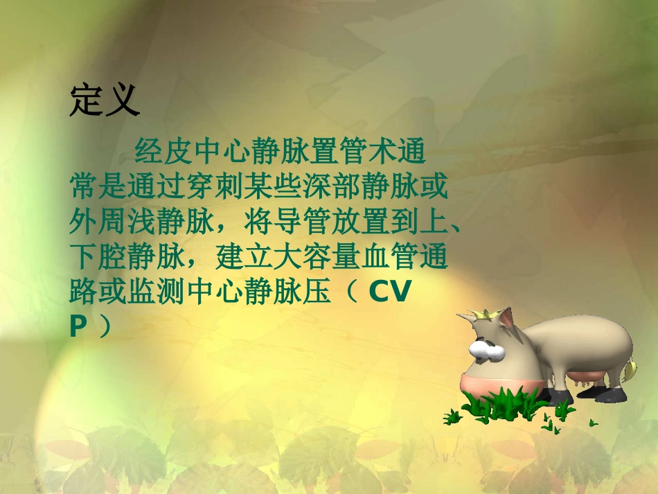 深静脉置管的护理_第3页