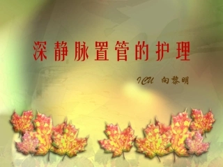 深静脉置管的护理