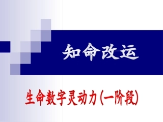 生命数字灵动力(1阶段讲义0)