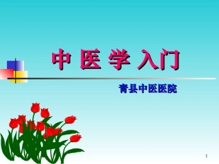 中医基础入门
