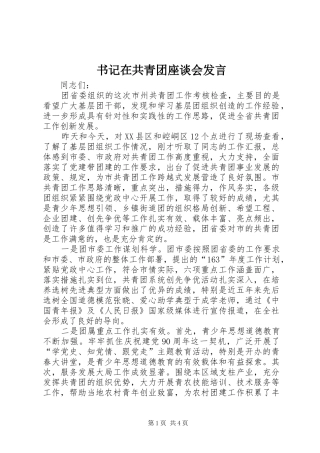书记在共青团座谈会发言