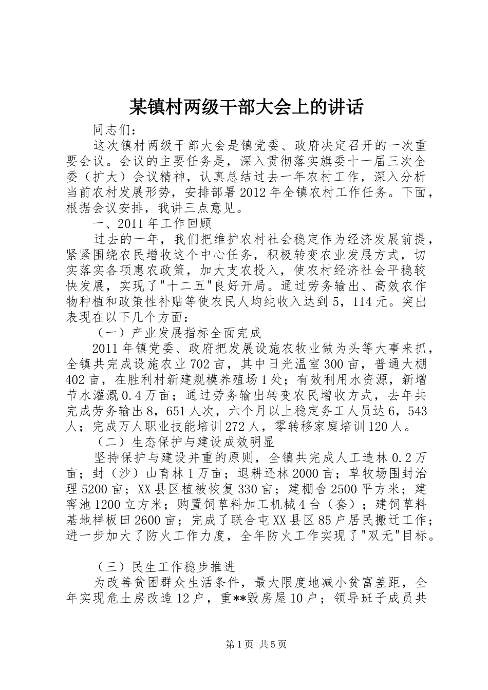某镇村两级干部大会上的讲话_第1页