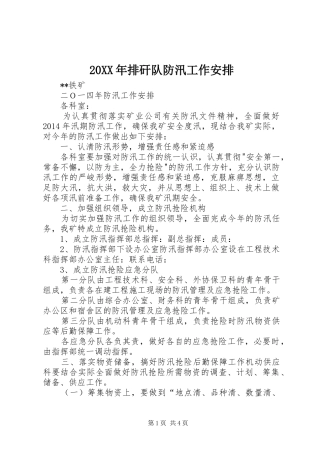 20XX年排矸队防汛工作安排 (5)