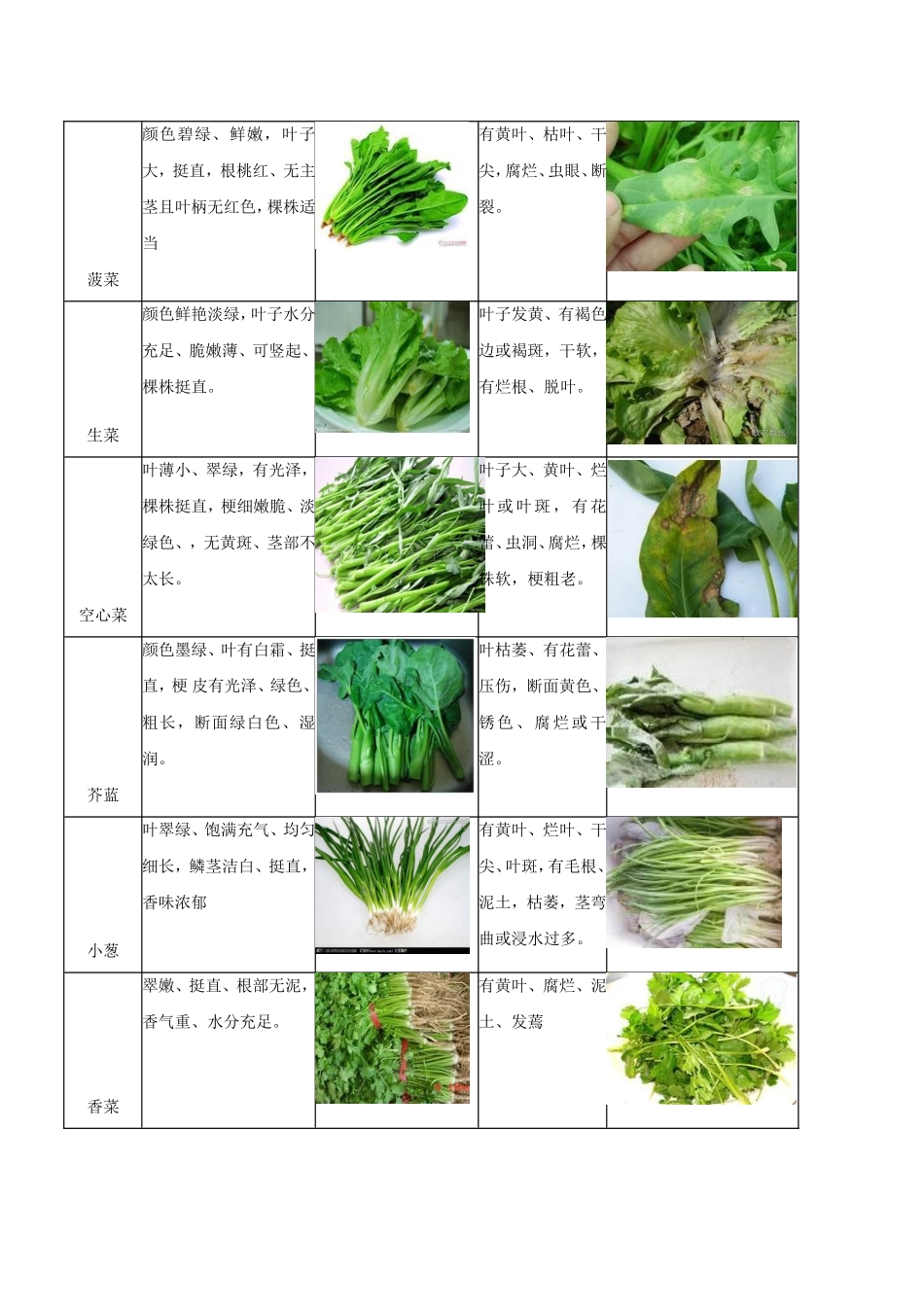 蔬菜采购验收标准及输出管理详尽版_第3页