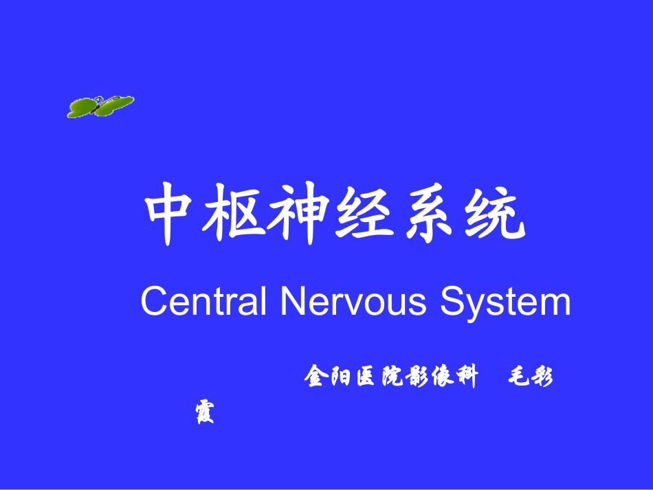 中枢神经系统(系统解剖学)PPT课件_第1页