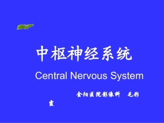 中枢神经系统(系统解剖学)PPT课件