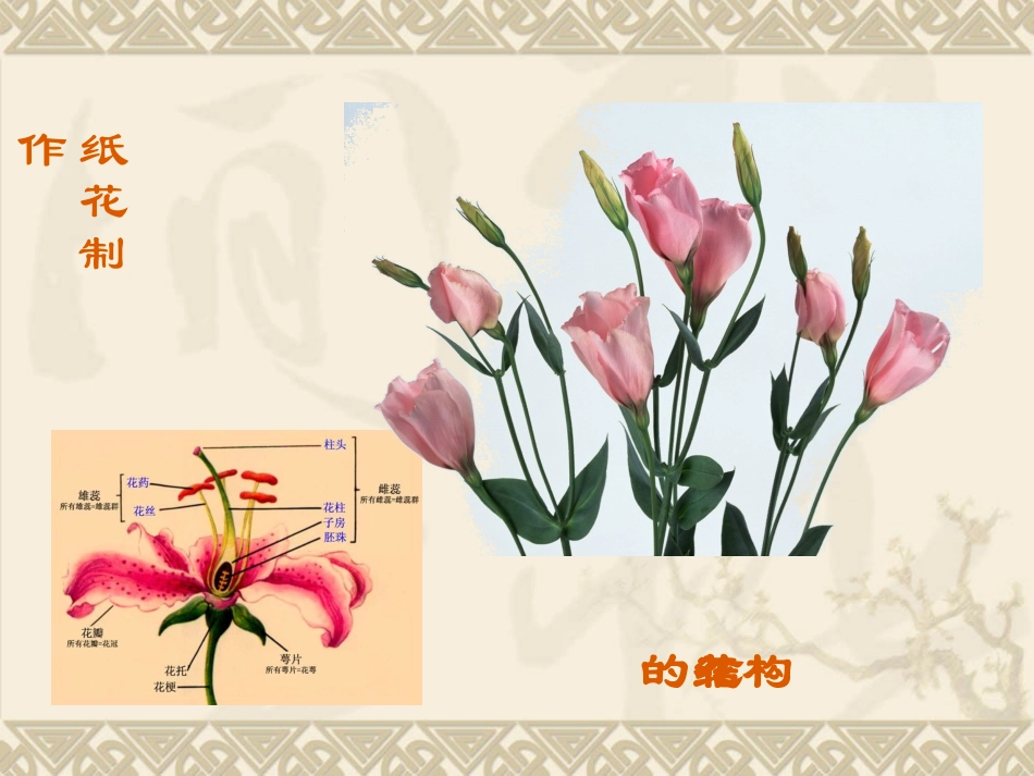 纸艺、纸花(皱纹纸、手揉纸)_第2页