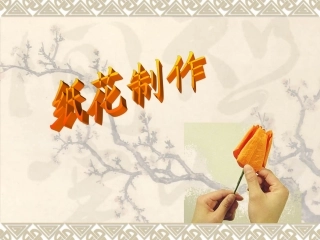 纸艺、纸花(皱纹纸、手揉纸)