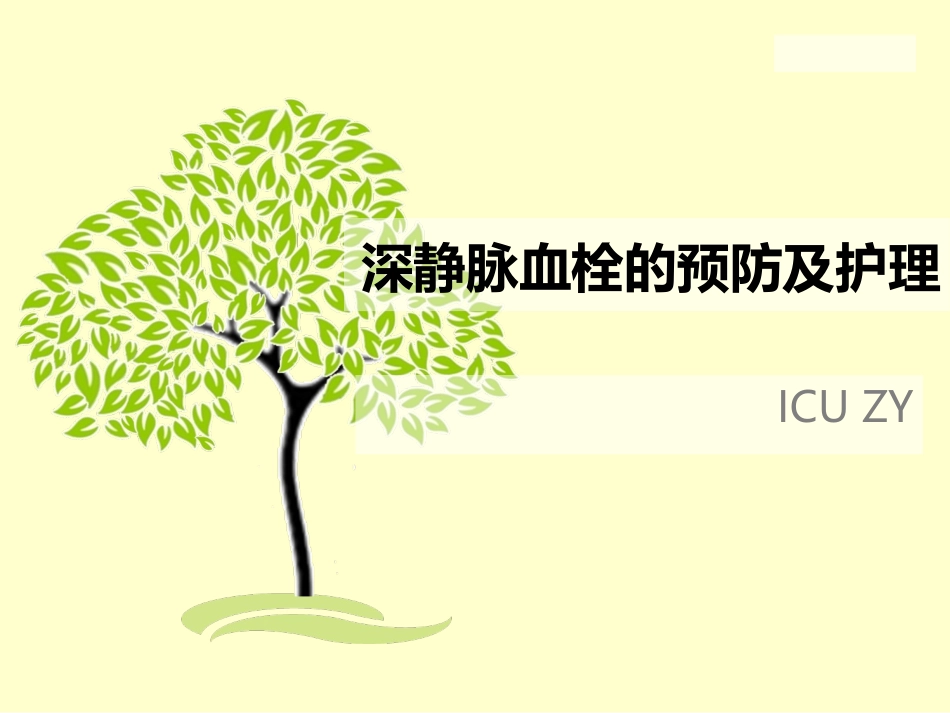 深静脉血栓的预防及护理_第1页