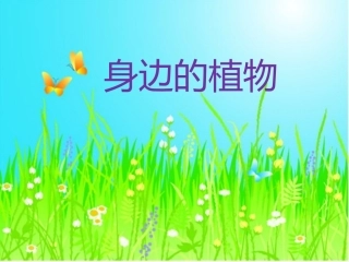 冀教版一年级科学4、身边的植物