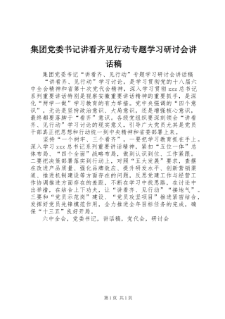 集团党委书记讲看齐见行动专题学习研讨会讲话稿