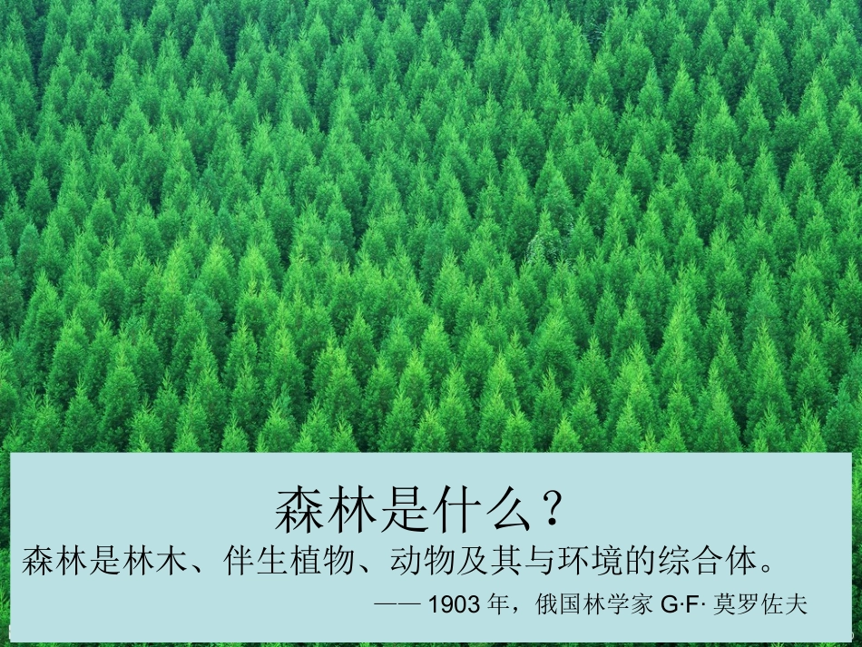 森林防火知识-课件(PPT演示)_第2页