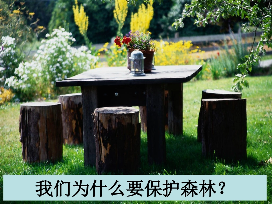 森林防火知识-课件(PPT演示)_第3页