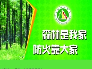 森林防火知识-课件(PPT演示)
