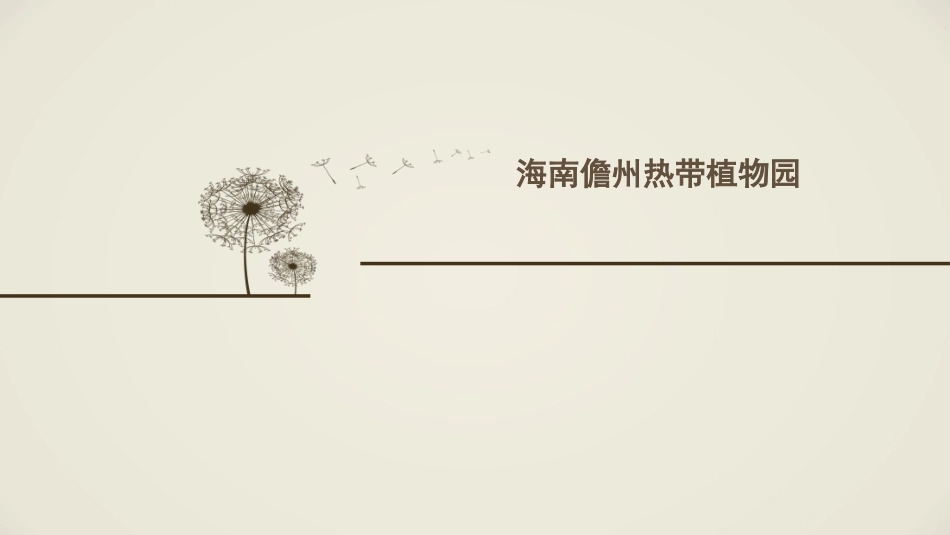 海南儋州热带植物园_第1页