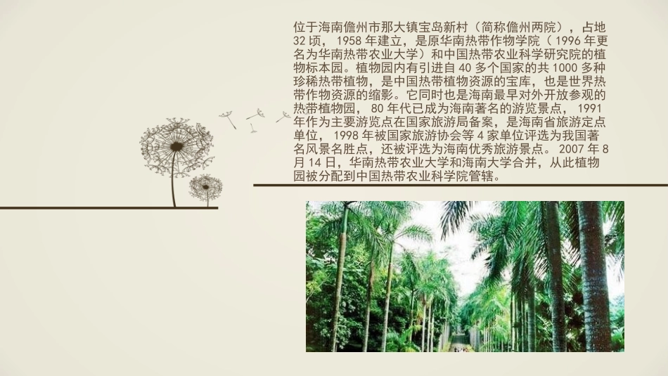 海南儋州热带植物园_第2页