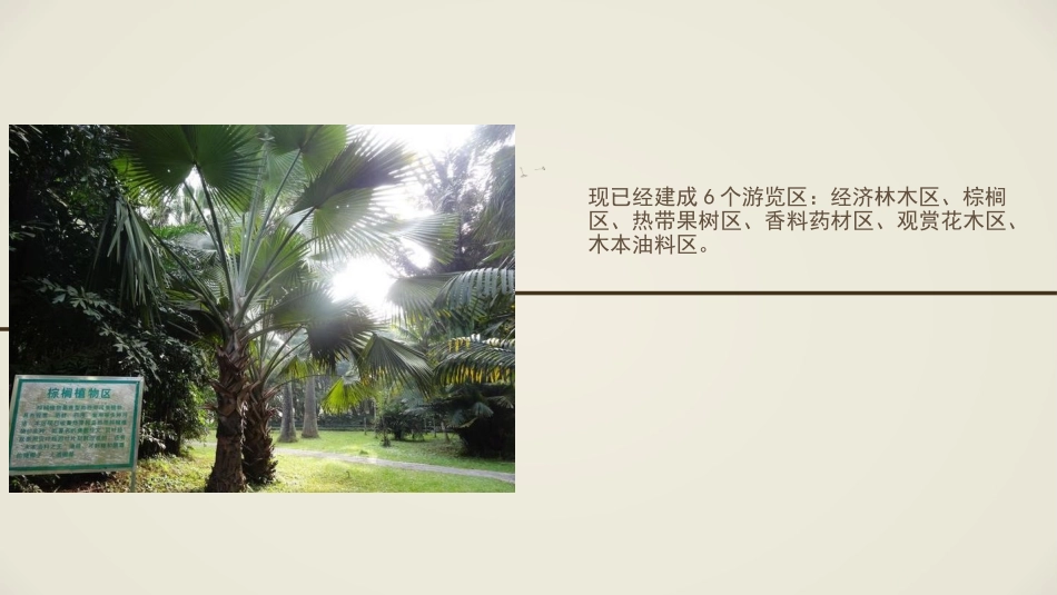 海南儋州热带植物园_第3页